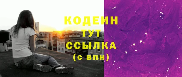 гашик Снежногорск
