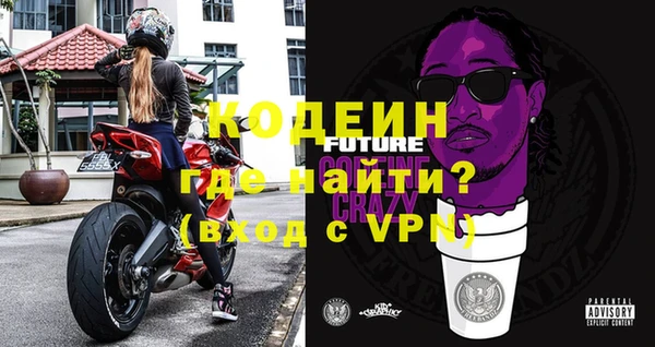 гашик Снежногорск