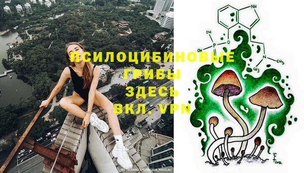 гашик Алзамай