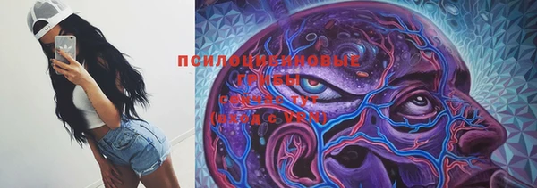 гашик Алзамай