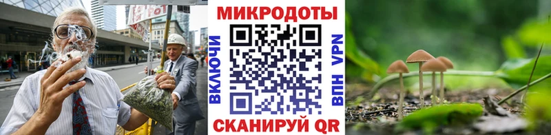 цена наркотик  Дно  площадка формула  Псилоцибиновые грибы MAGIC MUSHROOMS 